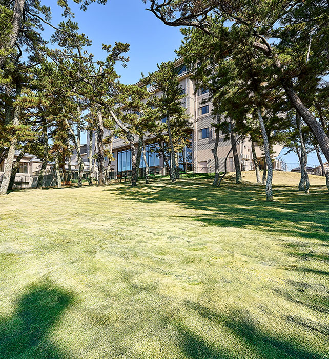 屋内ドッグラン