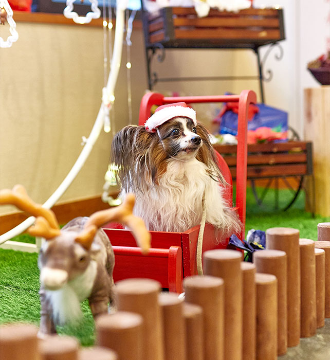 館内フォトスポット