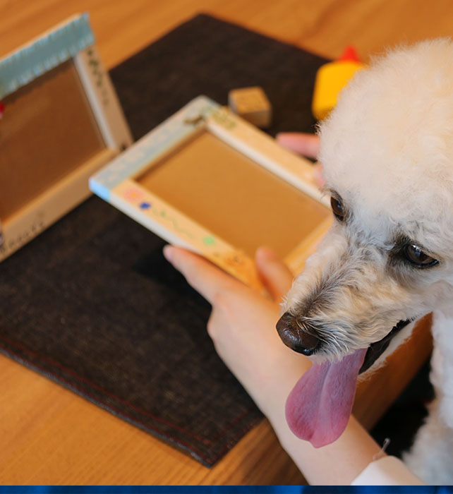 クラフトコーナー