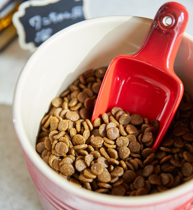 ワンちゃん用フード