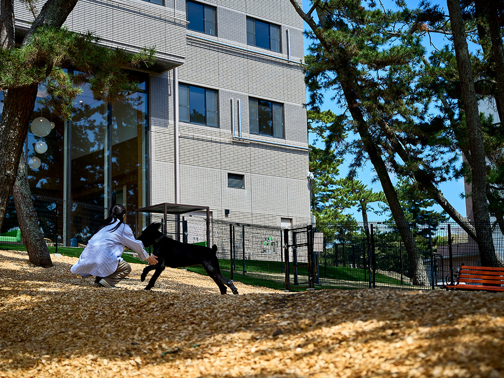 小型犬用ドッグラン