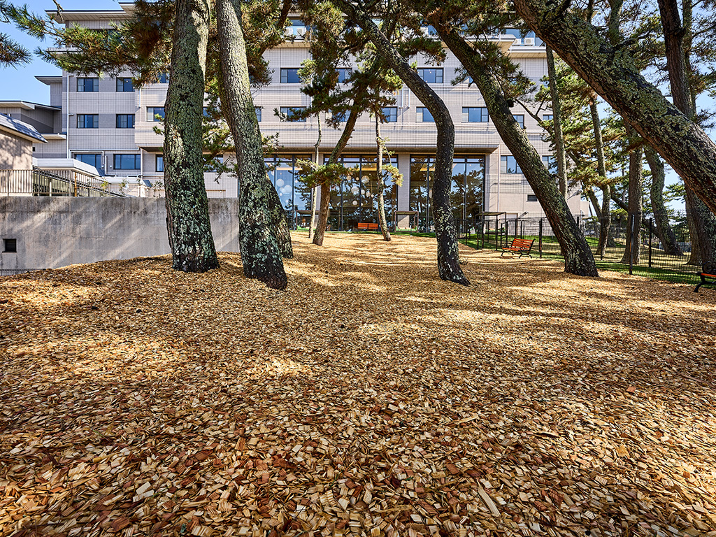 施設全体パノラマ