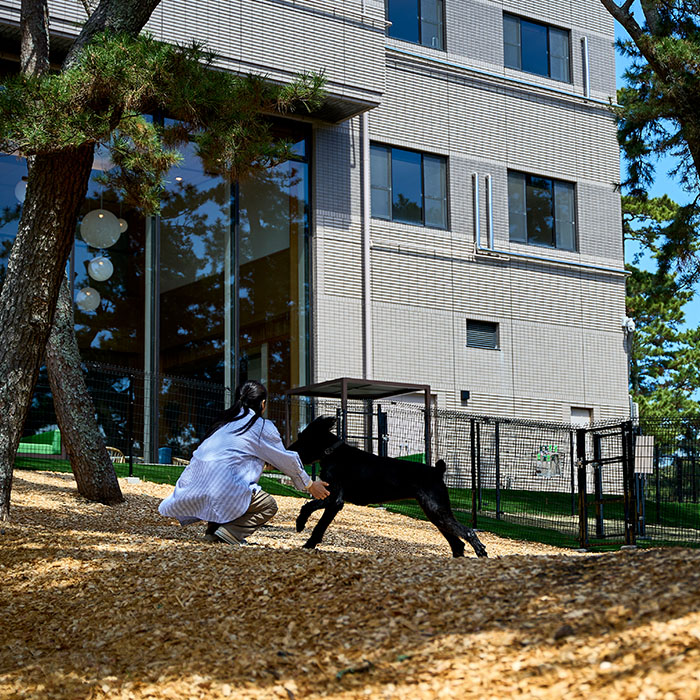 無駄吠え・騒音防止