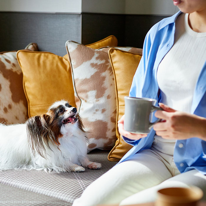 愛犬と旅準備チェック