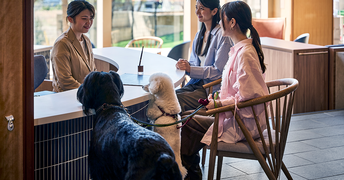Facilities｜Doggy's Coast Oarai
