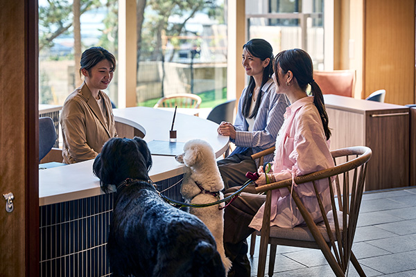 急な飛び出しや事故を防ぐための画像