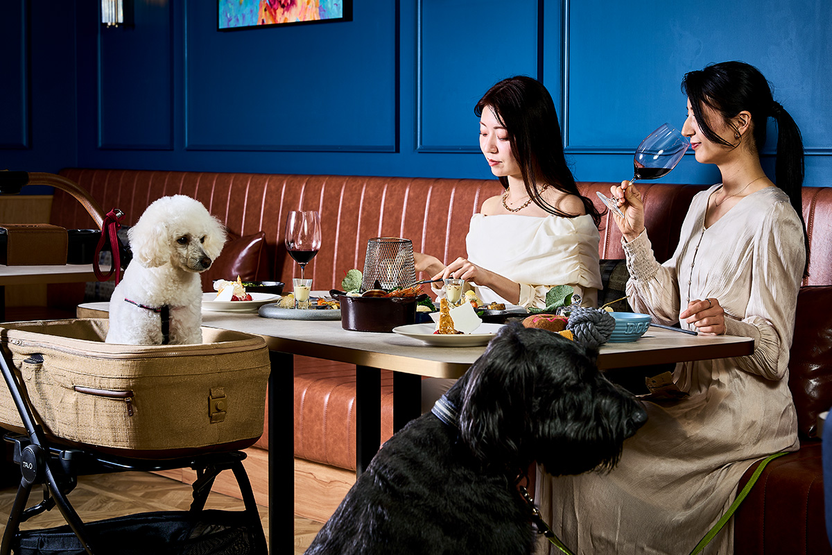 レストラン内のルール画像