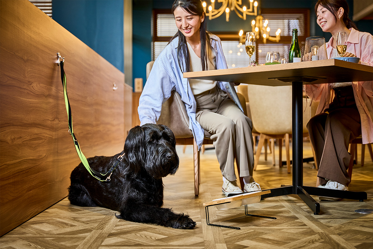 レストラン内のルール画像