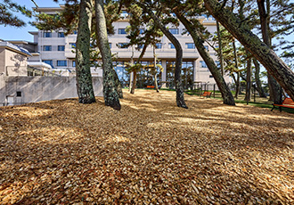 ドッグランの入れ替えの画像