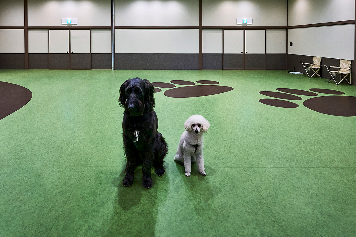 ドッグラン内のルール画像