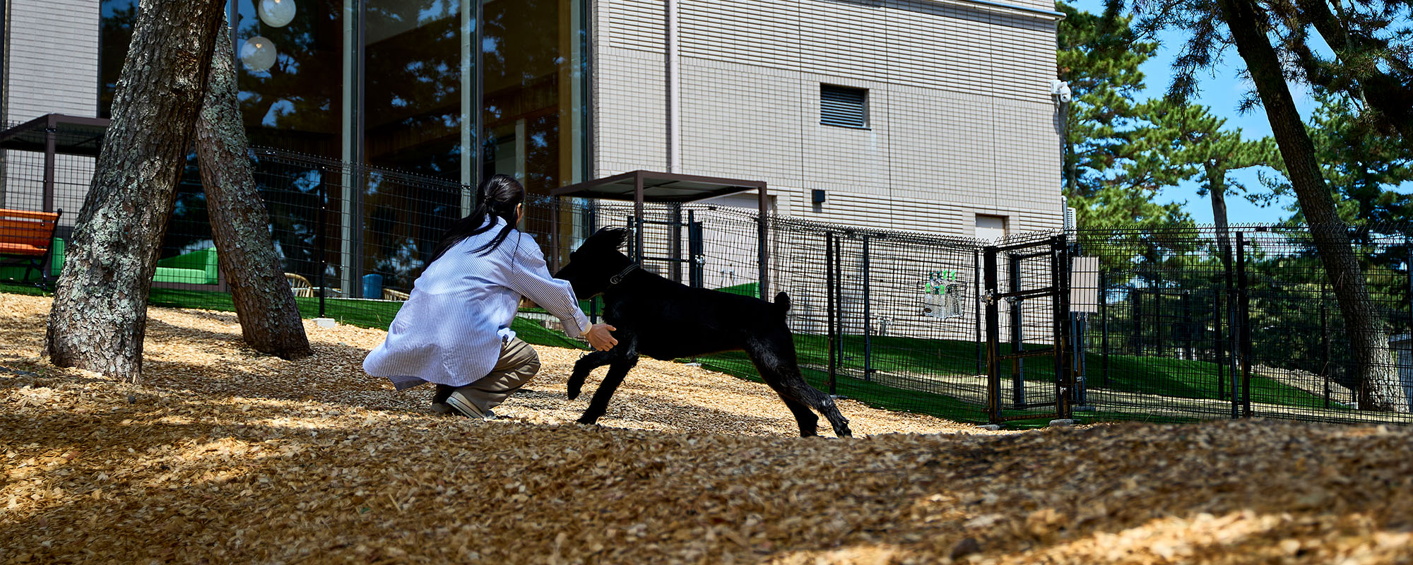 無駄吠え・騒音防止のメインビジュアル