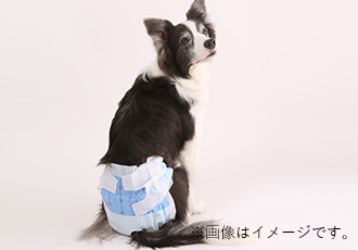 マナーパンツの画像