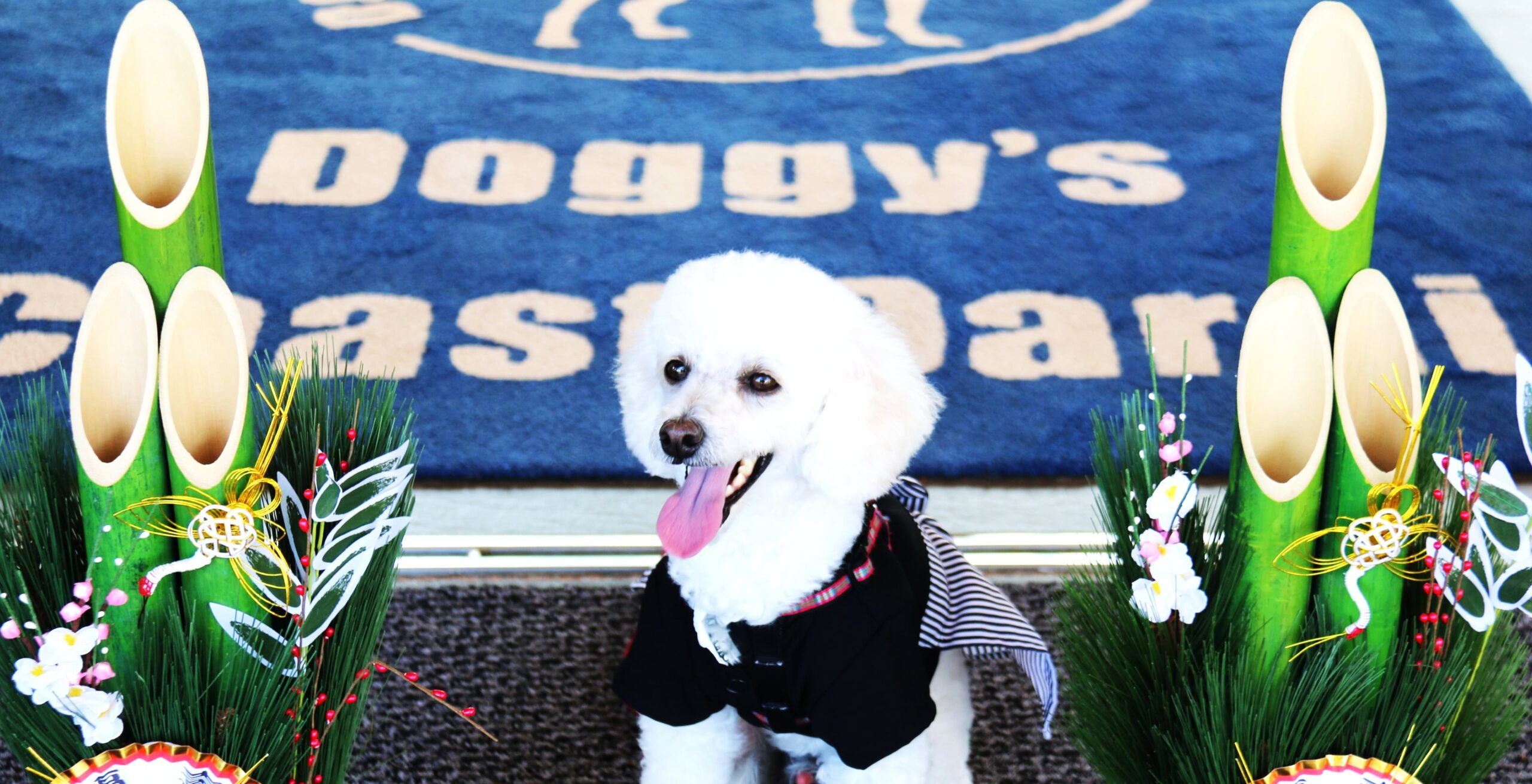 WANDERFUL NEW YEAR｜大洗で迎える、愛犬と過ごす穏やかな新年ステイ